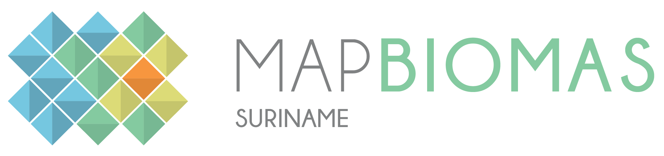 cropped-logo_mapbiomas_Suriname